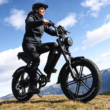 Ebikes