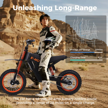 Y01 EBIKE